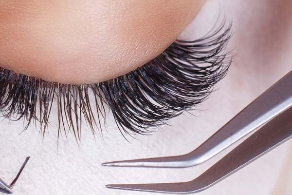 Brow and Lash Services